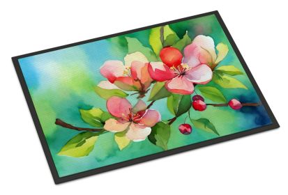 NEW Arkansas Apple Blossom in Watercolor Doormat Front Door Mat Indoor Outdoor Rugs for Entryway, Non Slip Washable Low Pile, 18H X 27W